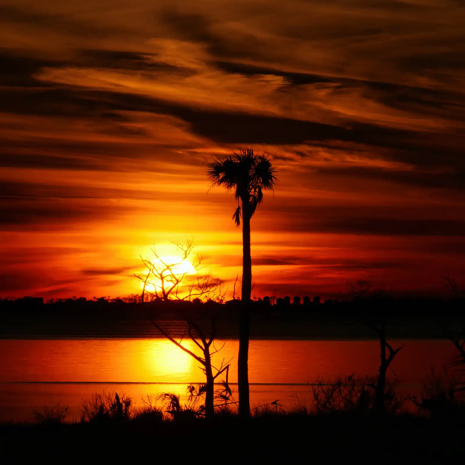 Sunset accross the bayou